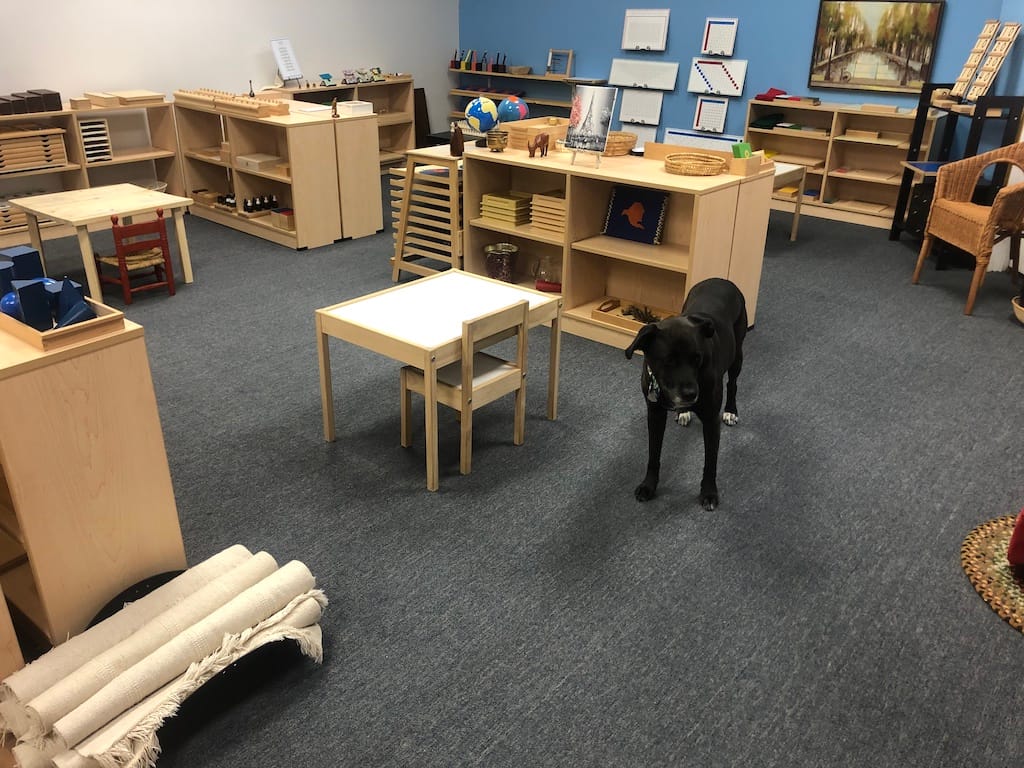 Sensorial Works Central Area