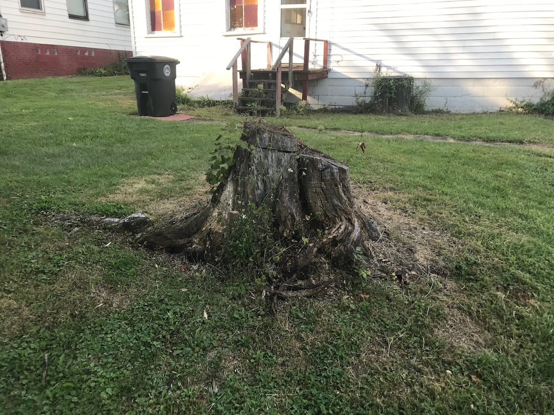 Stump