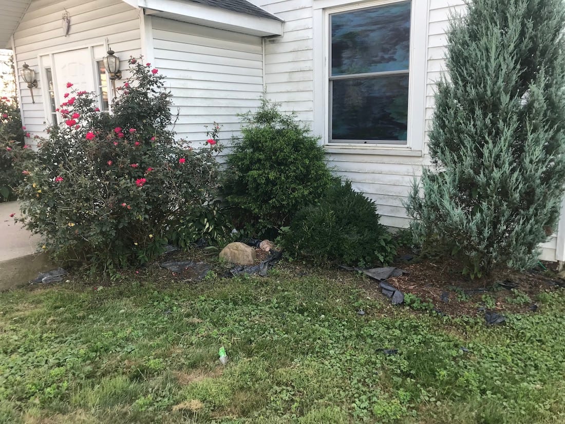 Landscaping other side Landscaping other side