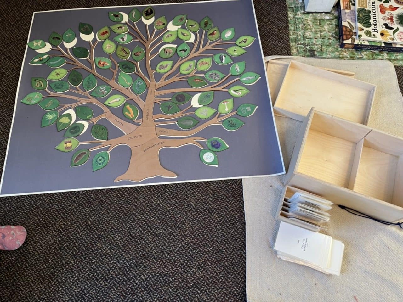 Tree of Life