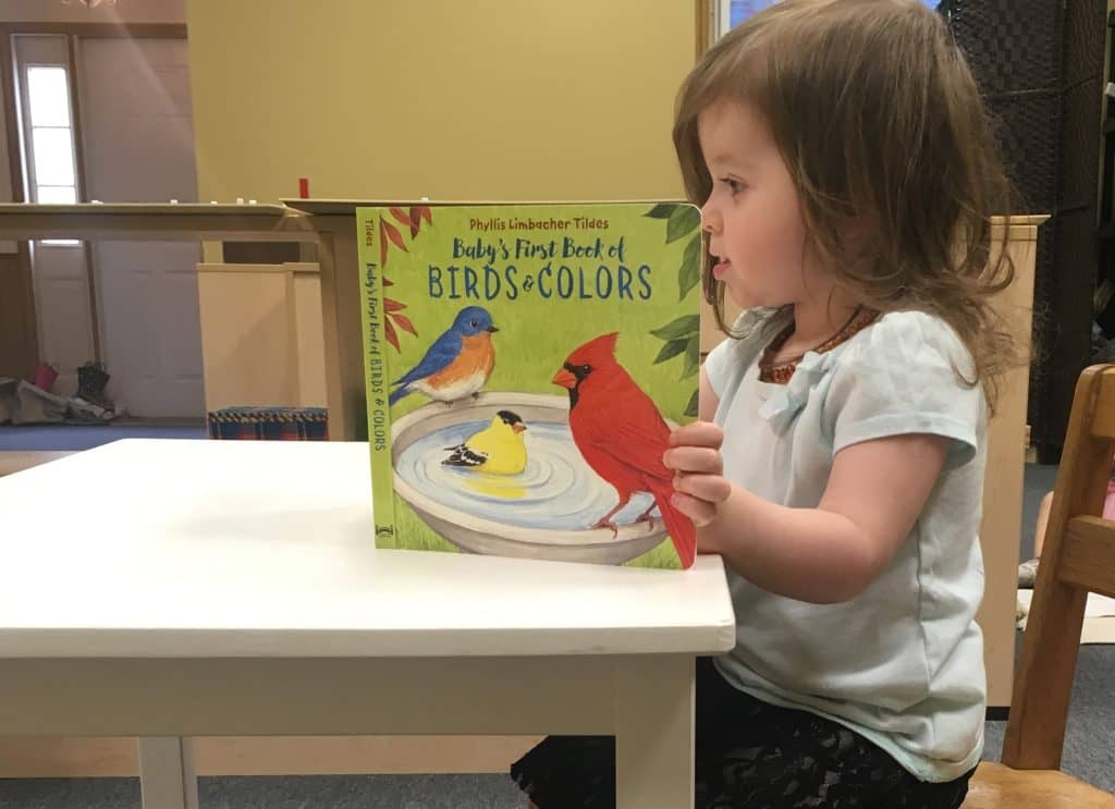 Reading in Toddler